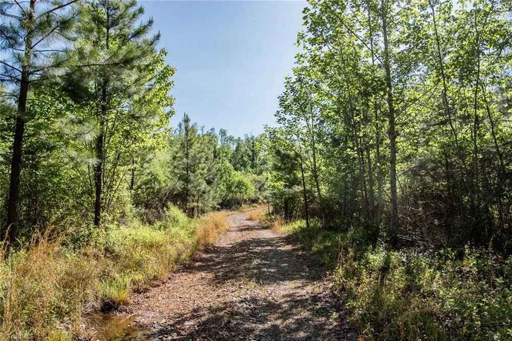 000 Swaringen Road Traphill, NC 28685