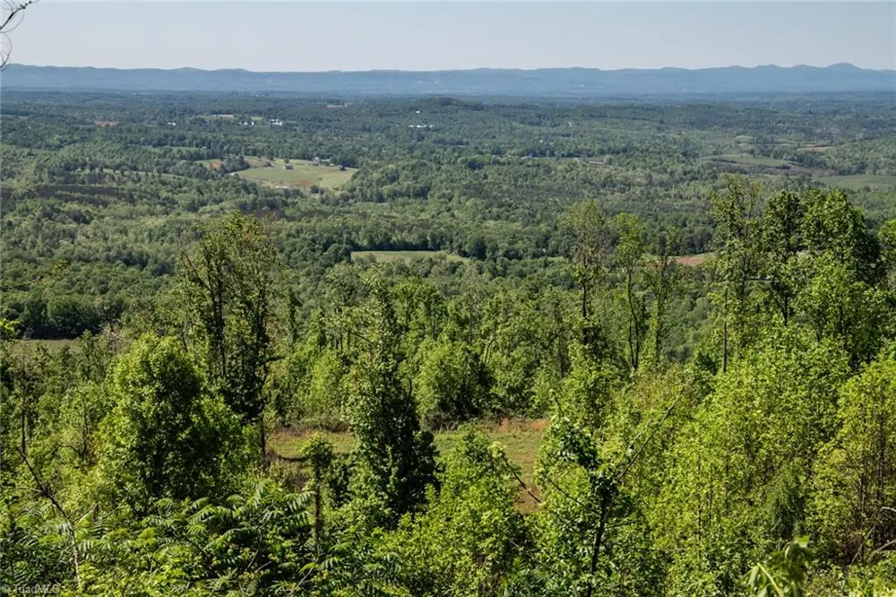 000 Swaringen Road Traphill, NC 28685