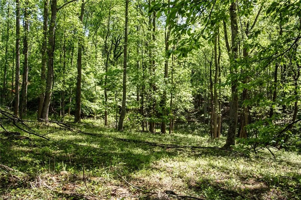 000 Swaringen Road Traphill, NC 28685