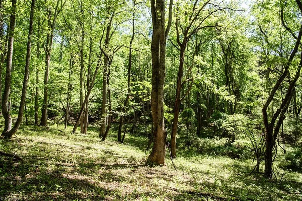 000 Swaringen Road Traphill, NC 28685