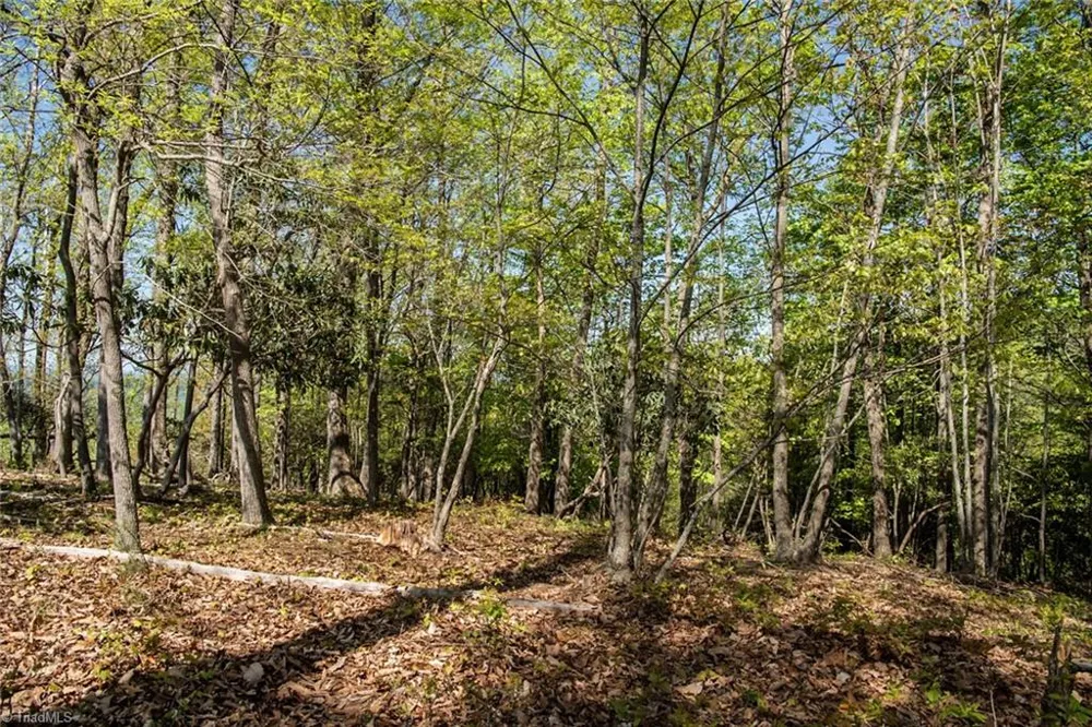 000 Swaringen Road Traphill, NC 28685