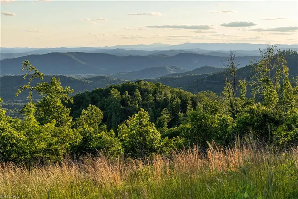 000 Swaringen Road Traphill, NC 28685