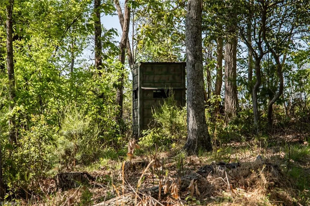 000 Swaringen Road Traphill, NC 28685