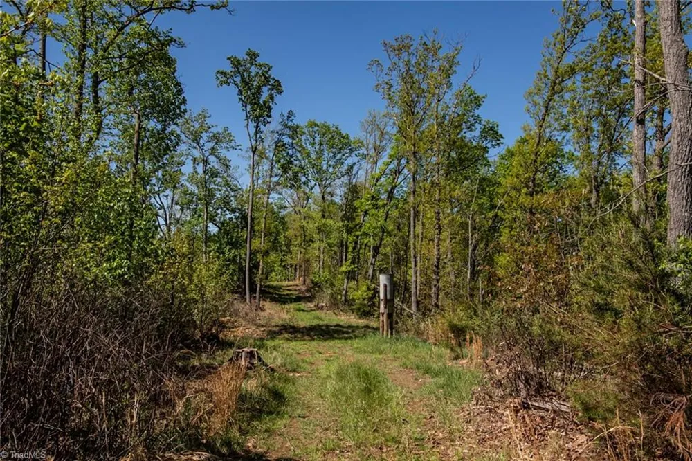 000 Swaringen Road Traphill, NC 28685