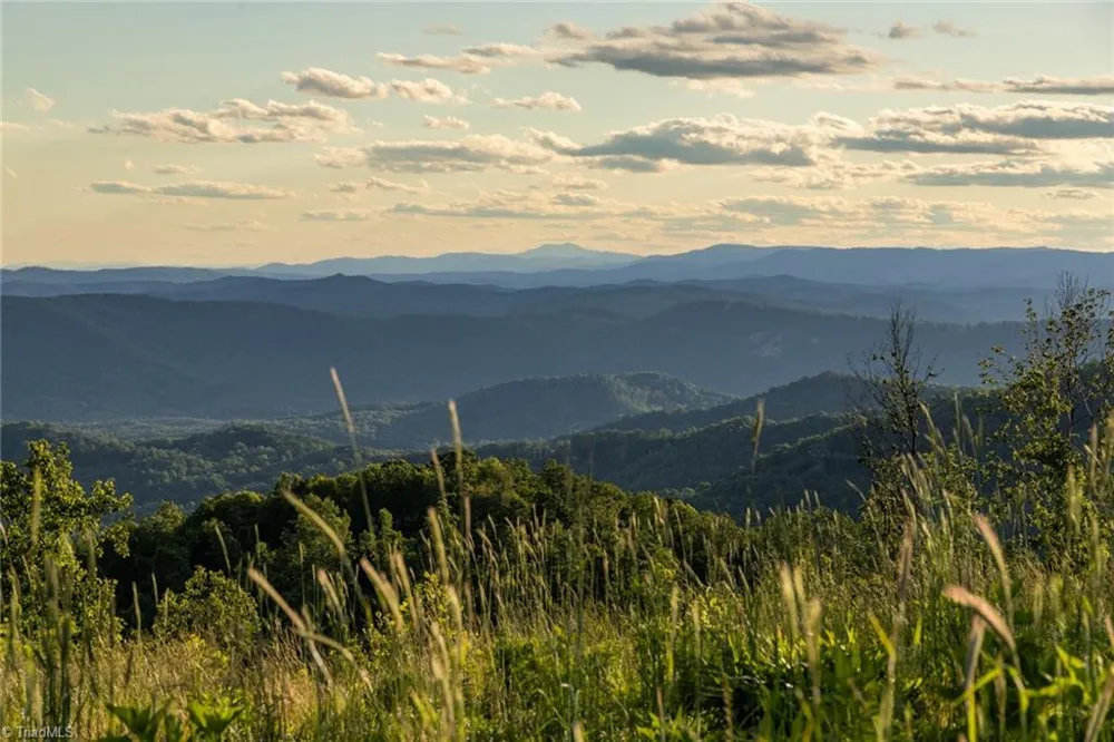 000 Swaringen Road Traphill, NC 28685