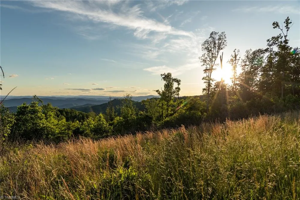 000 Swaringen Road Traphill, NC 28685
