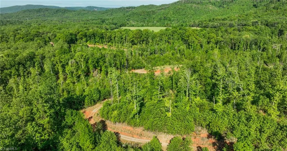 000 Swaringen Road Traphill, NC 28685