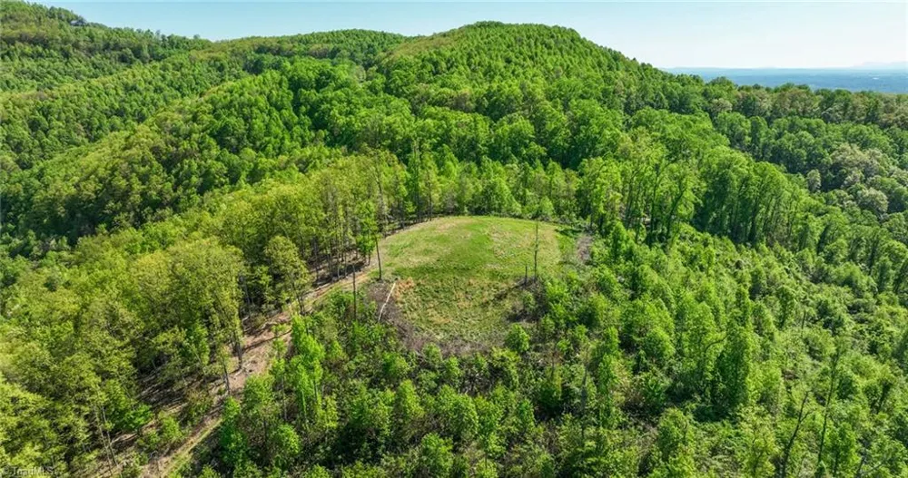 000 Swaringen Road Traphill, NC 28685