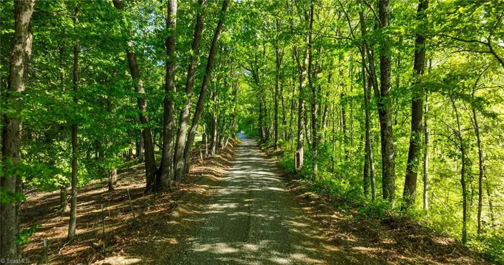 000 Swaringen Road Traphill, NC 28685