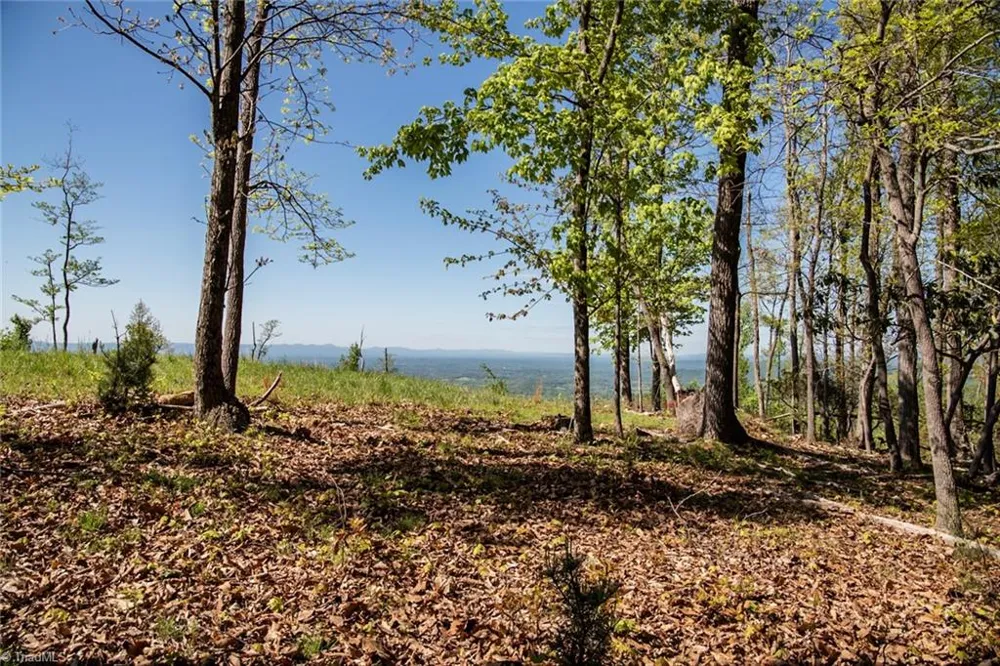 000 Swaringen Road Traphill, NC 28685