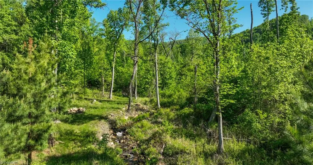 000 Swaringen Road Traphill, NC 28685