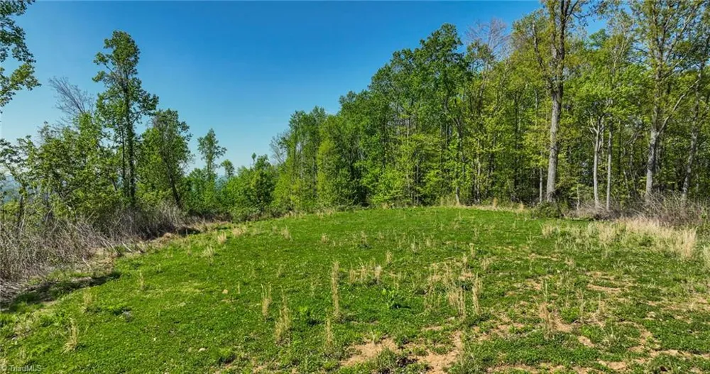 000 Swaringen Road Traphill, NC 28685