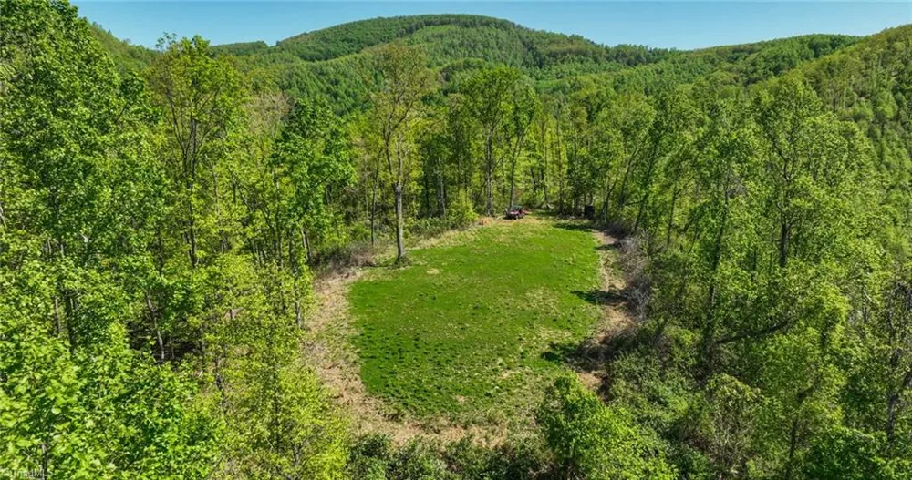 000 Swaringen Road Traphill, NC 28685