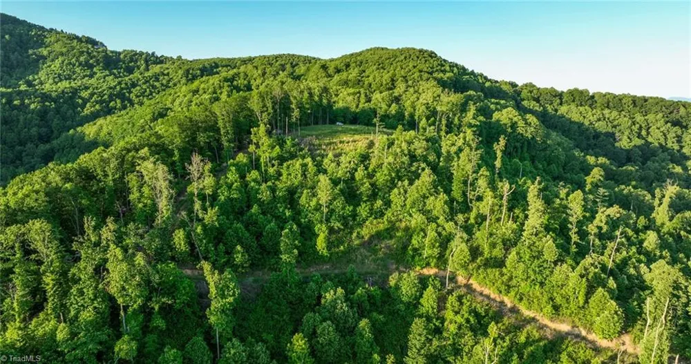 000 Swaringen Road Traphill, NC 28685
