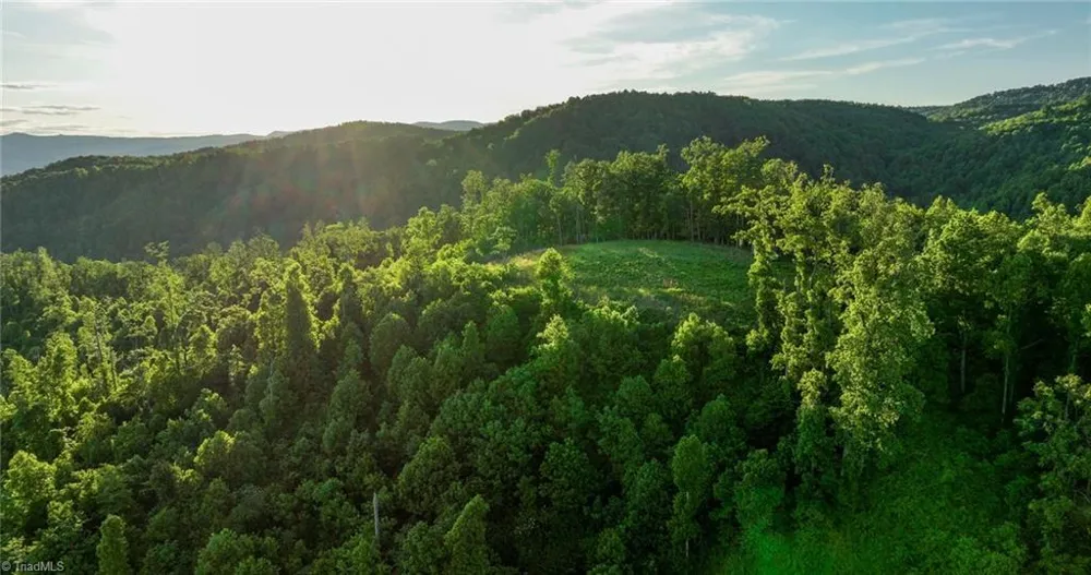 000 Swaringen Road Traphill, NC 28685