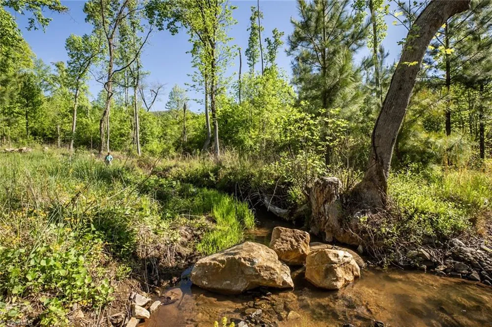 000 Swaringen Road Traphill, NC 28685