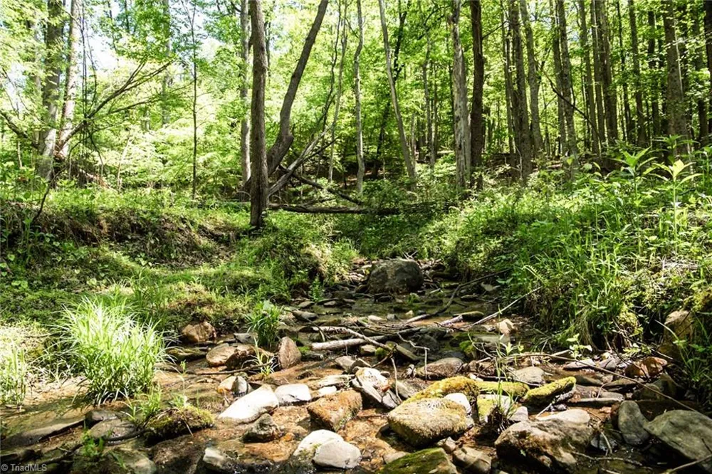000 Swaringen Road Traphill, NC 28685