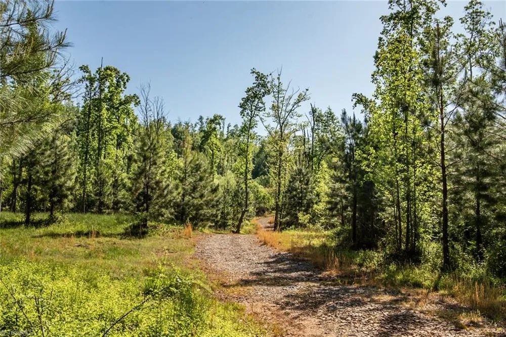 000 Swaringen Road Traphill, NC 28685