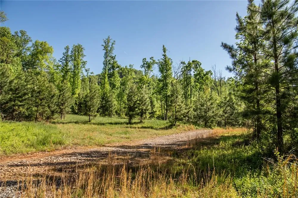 000 Swaringen Road Traphill, NC 28685