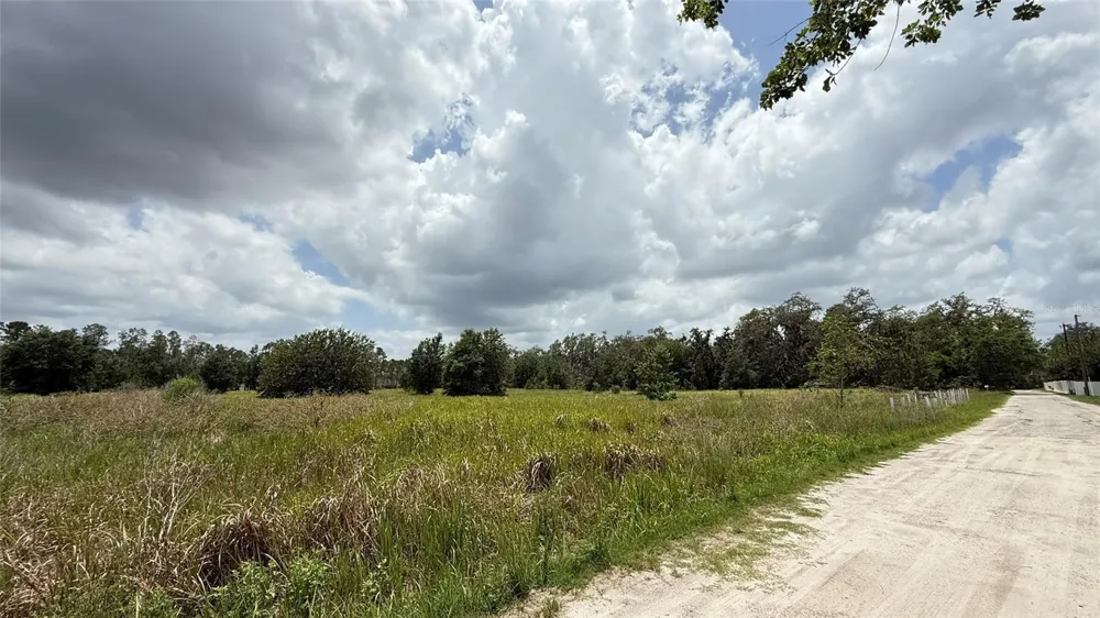 29824 WELLS ROADS Wesley Chapel, FL 33545