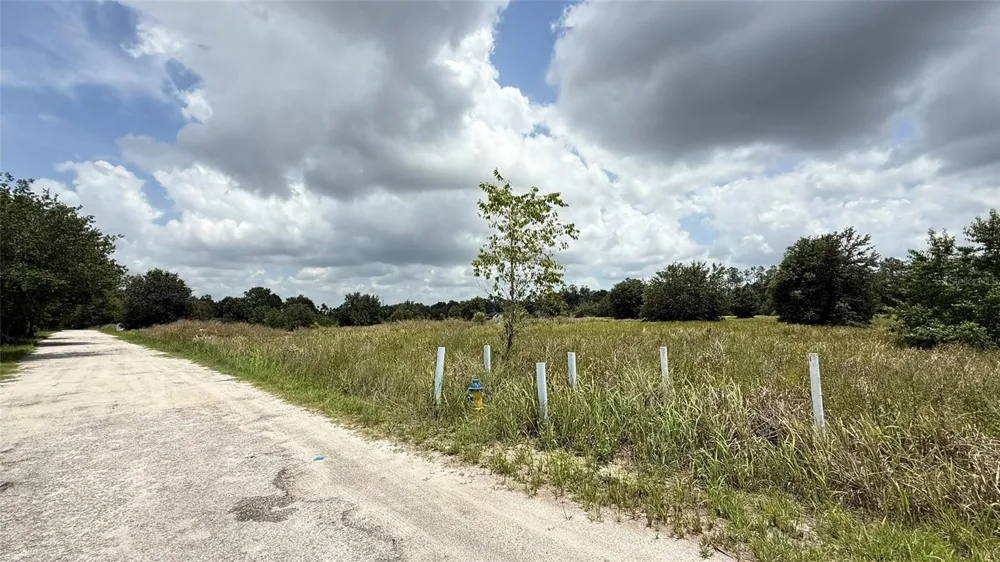 29824 WELLS ROADS Wesley Chapel, FL 33545