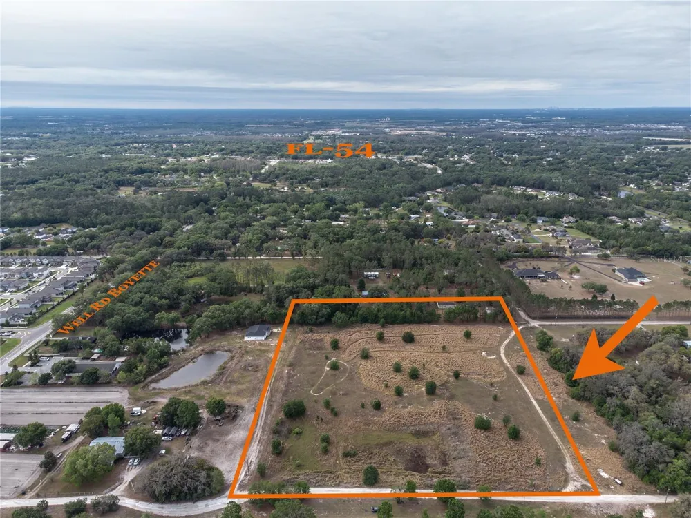 29824 WELLS ROADS Wesley Chapel, FL 33545