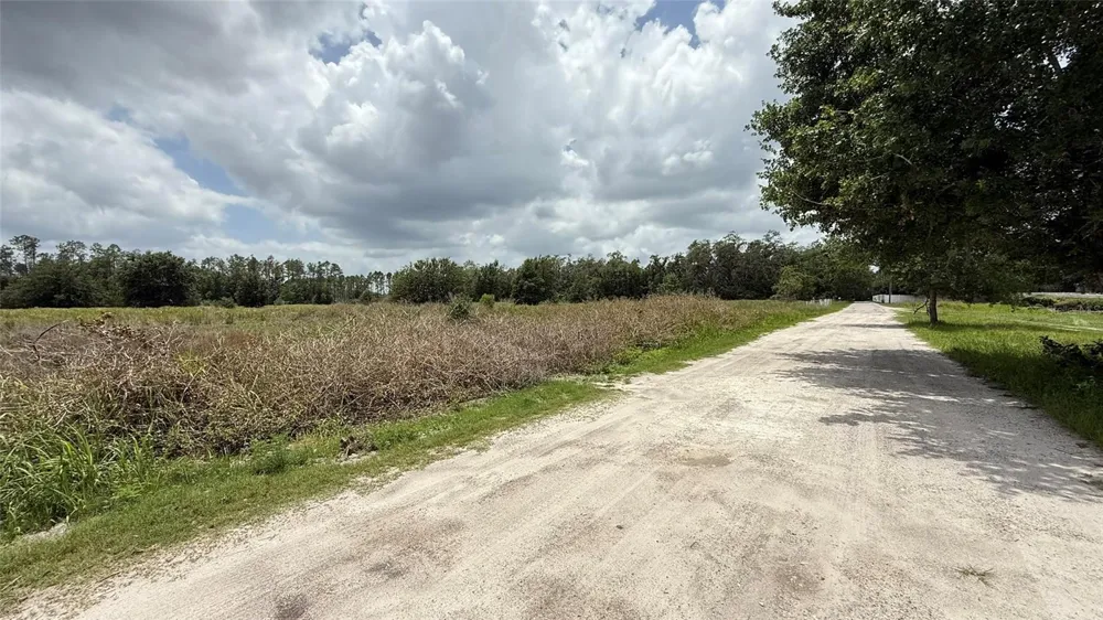 29824 WELLS ROADS Wesley Chapel, FL 33545