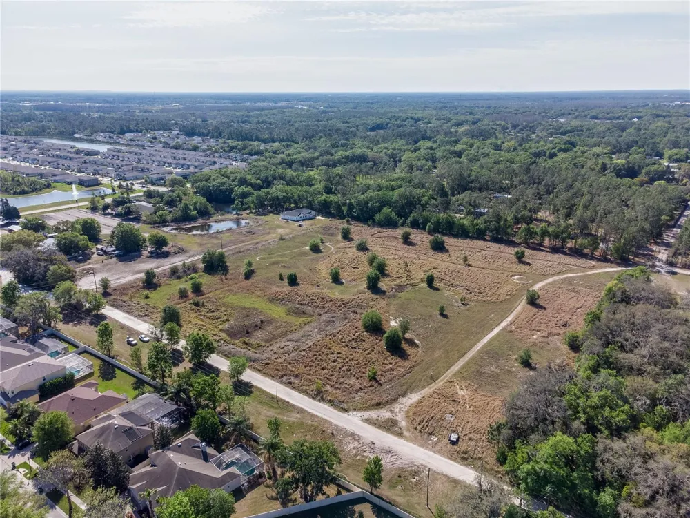 29824 WELLS ROADS Wesley Chapel, FL 33545
