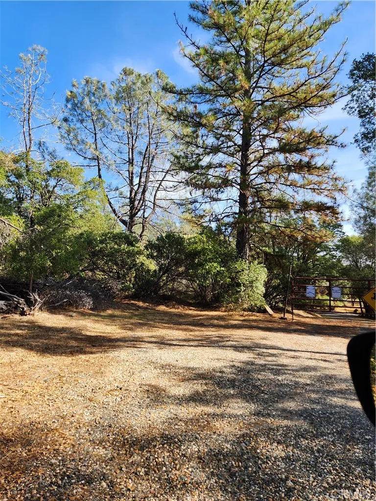 7949 Marie Lane Rackerby, CA 95972