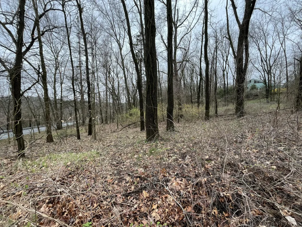 7031 Glade Trail Kalamazoo, MI 49009