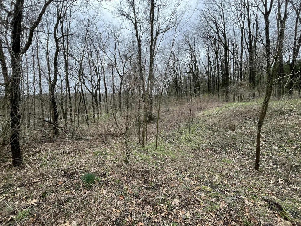 7031 Glade Trail Kalamazoo, MI 49009