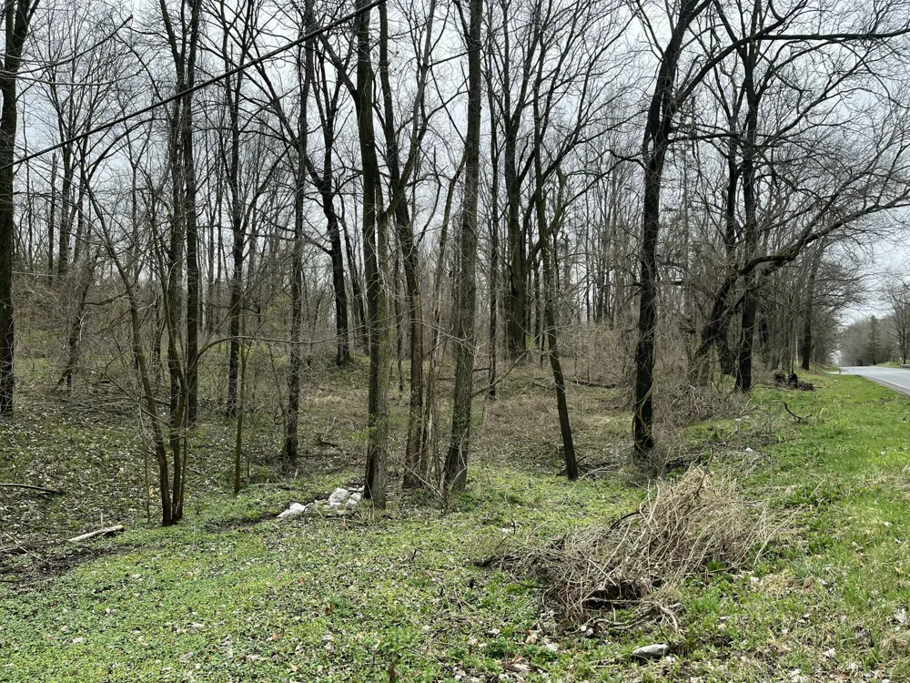 7031 Glade Trail Kalamazoo, MI 49009