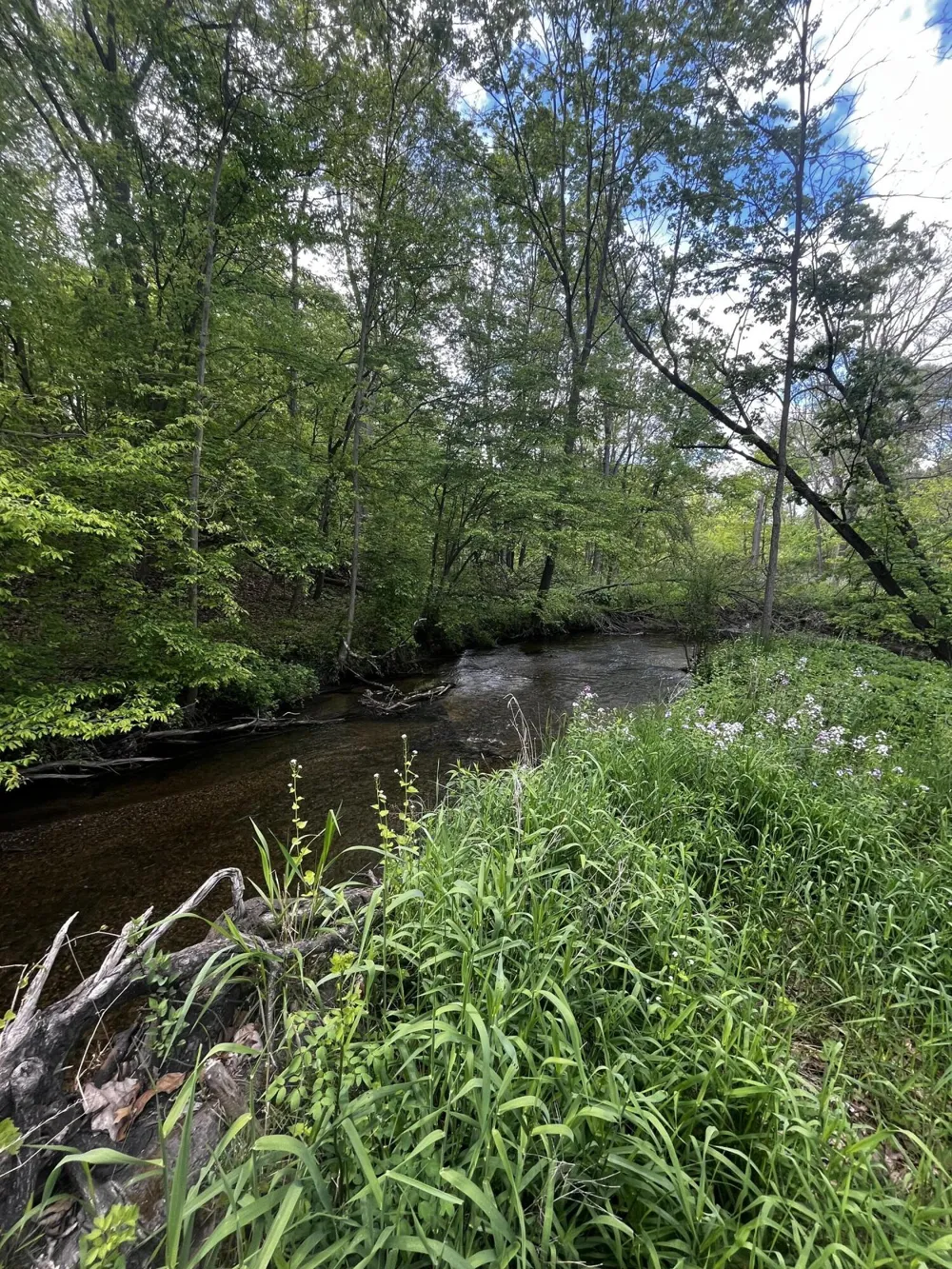 5650 Morrison Lake Road Saranac, MI 48881