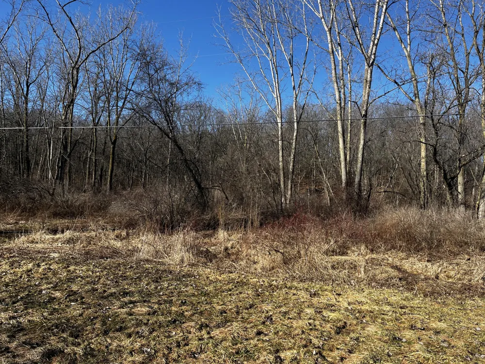 5650 Morrison Lake Road Saranac, MI 48881