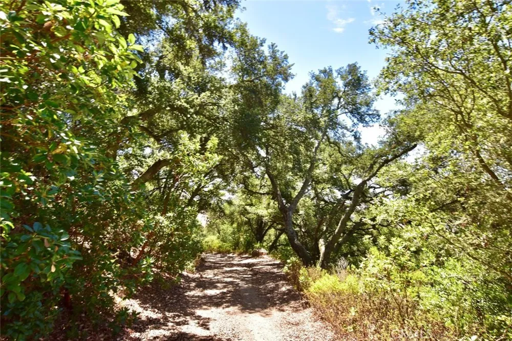 Old Creek Road Templeton, CA 93465