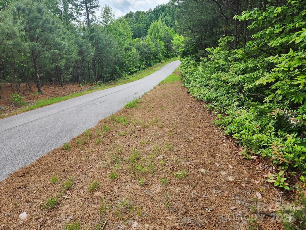TBD Derby Chase Court McGrady, NC 28649