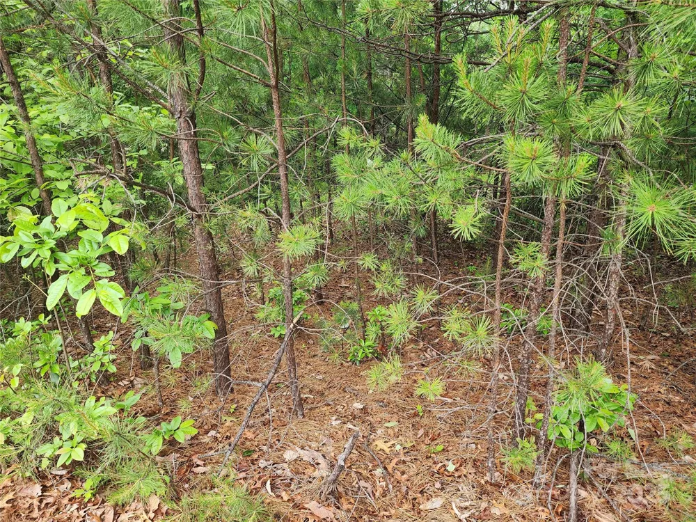 TBD Derby Chase Court McGrady, NC 28649
