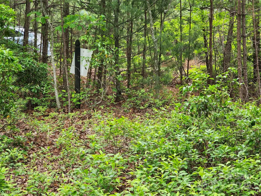 TBD Derby Chase Court McGrady, NC 28649