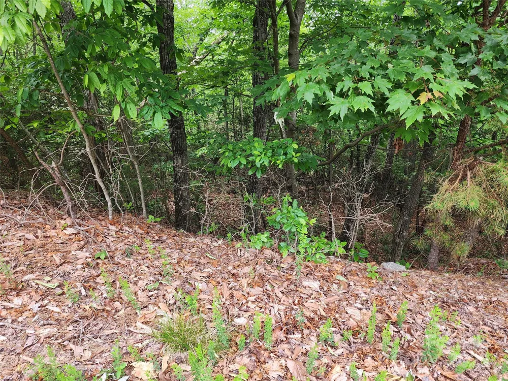 TBD Derby Chase Court McGrady, NC 28649