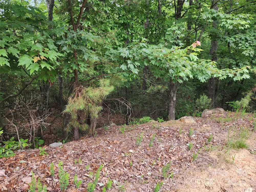 TBD Derby Chase Court McGrady, NC 28649