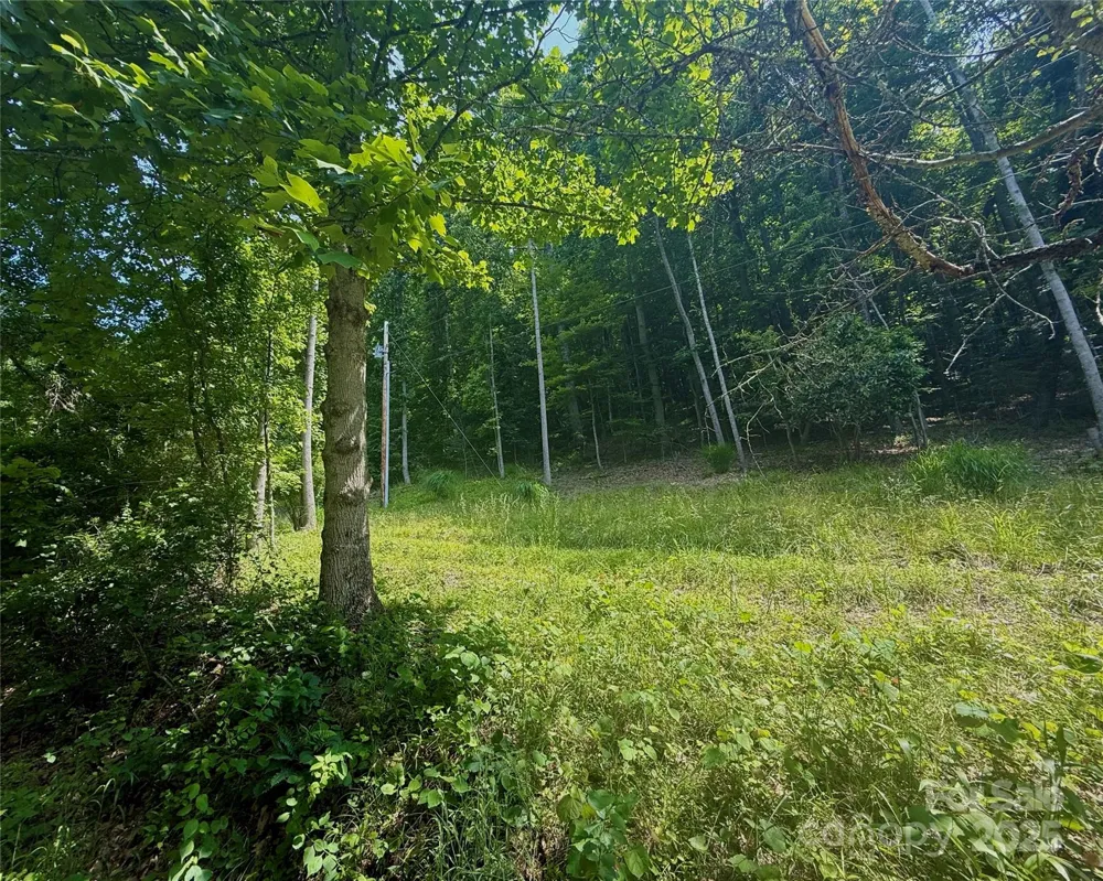700 Wooded Mountain Trail Mars Hill, NC 28754