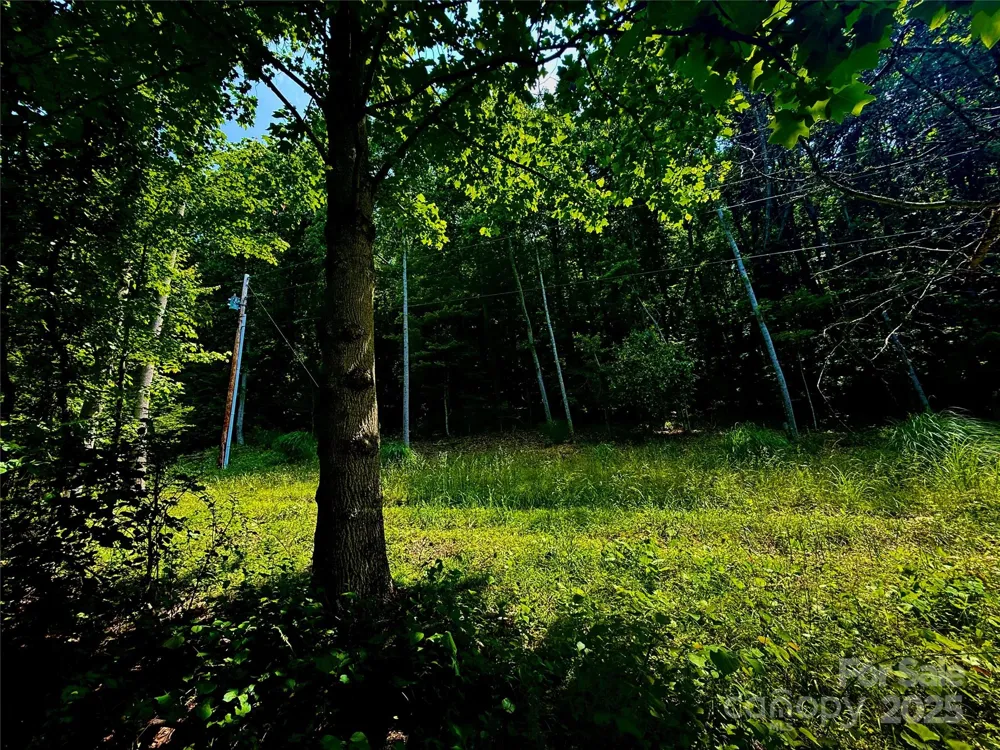 700 Wooded Mountain Trail Mars Hill, NC 28754