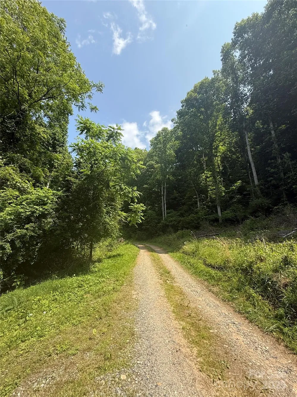 700 Wooded Mountain Trail Mars Hill, NC 28754