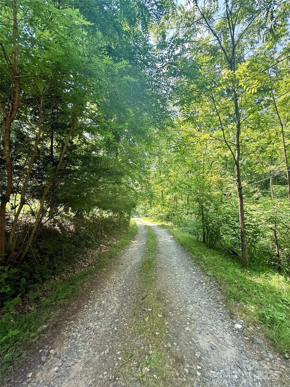 700 Wooded Mountain Trail Mars Hill, NC 28754