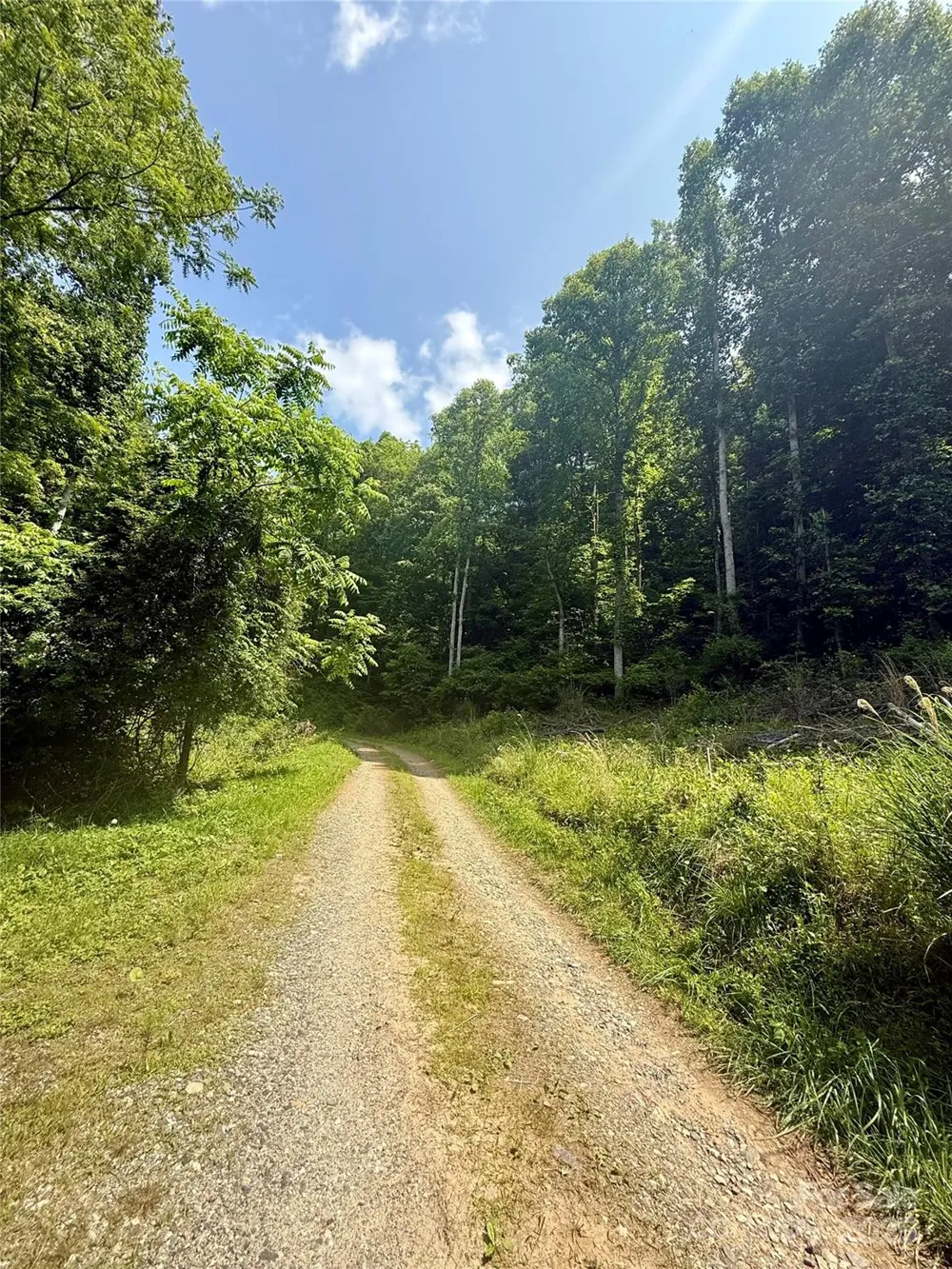 700 Wooded Mountain Trail Mars Hill, NC 28754