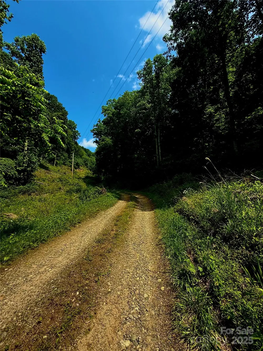 700 Wooded Mountain Trail Mars Hill, NC 28754