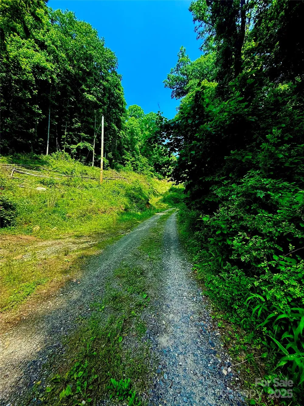 700 Wooded Mountain Trail Mars Hill, NC 28754