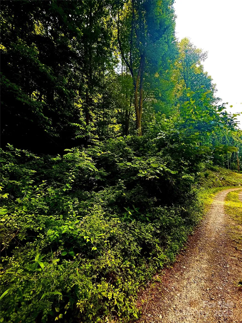 700 Wooded Mountain Trail Mars Hill, NC 28754