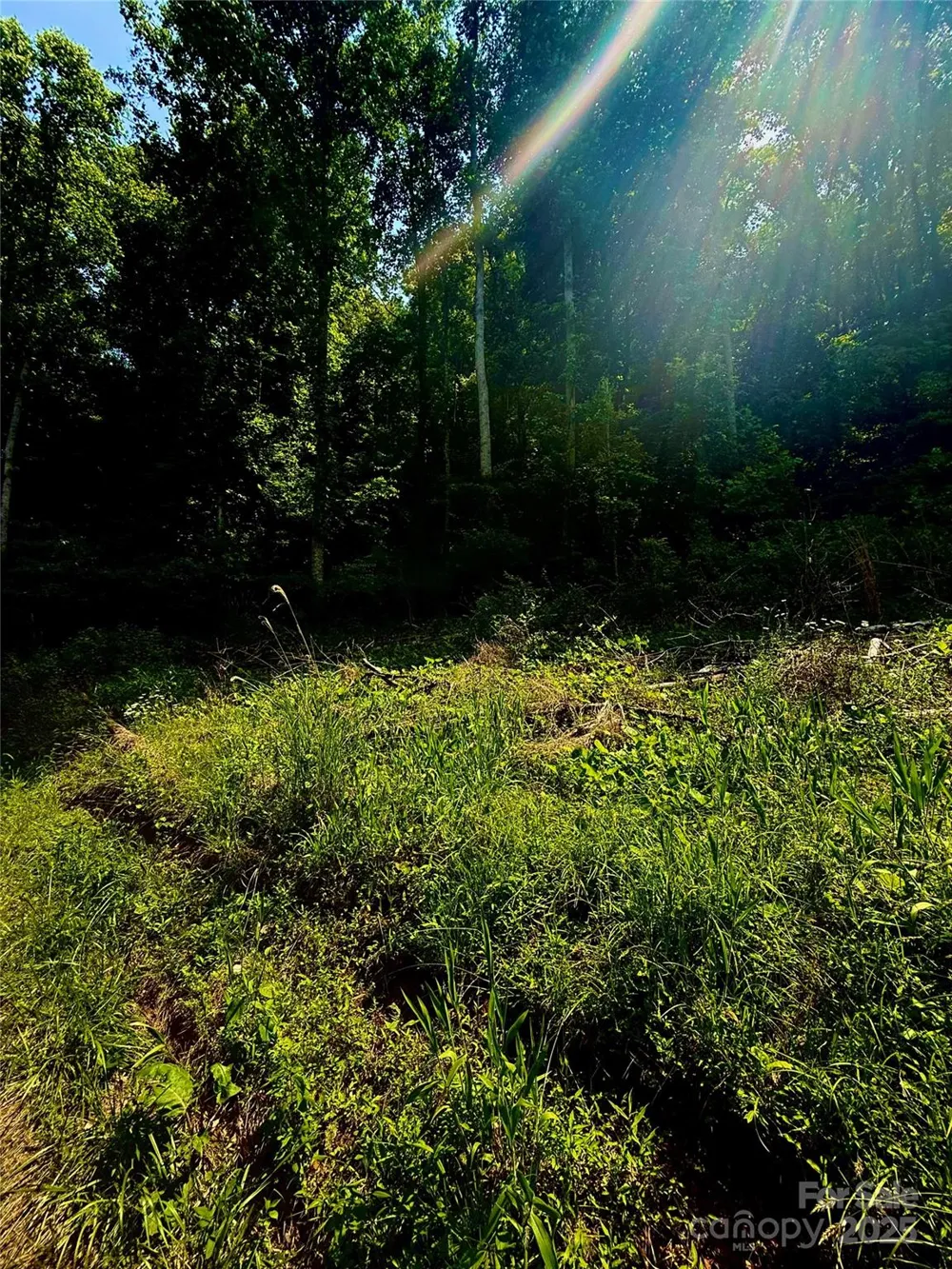 700 Wooded Mountain Trail Mars Hill, NC 28754