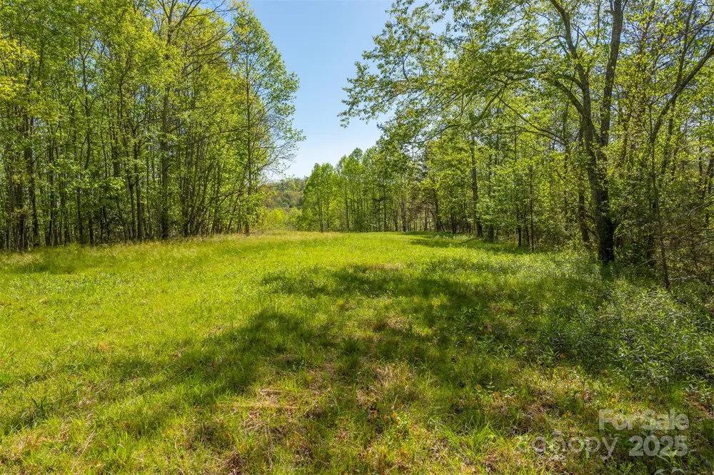 000 Thousand Oaks Drive Old Fort, NC 28752